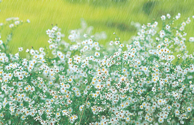 【神都诗社】第047期《春雨》（图28）