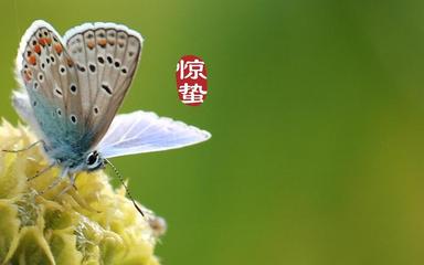 【七律•惊蛰】外一首／作者（江苏盐城）优秀诗人李章海老师请欣赏（图4）