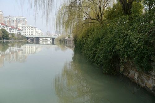 【七律•惊蛰】外一首／作者（江苏盐城）优秀诗人李章海老师请欣赏（图5）
