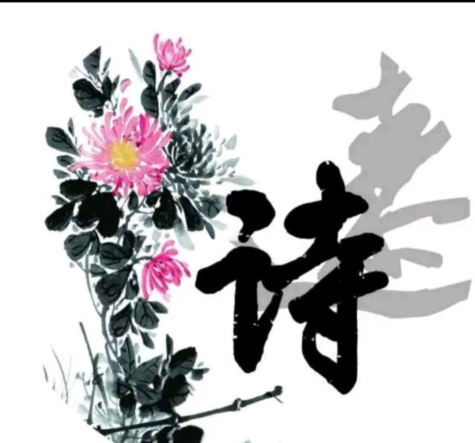 春雪/诗魂‖作者:妙雅心香&诵读:残云【雅诗总会】(图3)