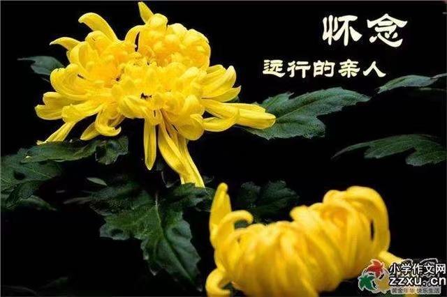 【沉痛悼念赵来生同志】三首／作者／松菊醉秋老师请关注（图5）