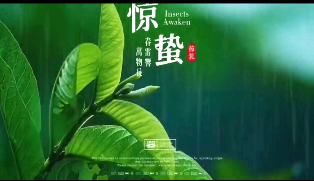 分享优秀诗人（粟未卜先知票）粟灯老师《惊蛰》轱辘体请欣赏（图4）