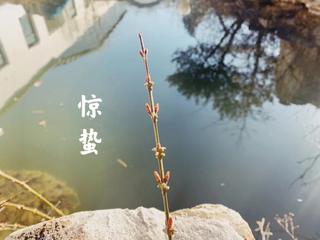 分享优秀诗人黄兴民老师《七绝•惊蛰吟》外三首请欣赏（图4）