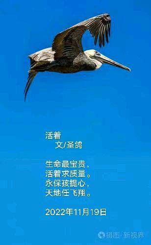 分享北方诗人(晟歌)李聚盛专辑请欣赏(图6)