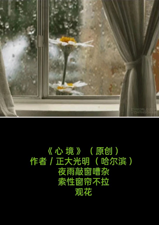 【题图微诗一组 辩析】(原创)《重生》《月季》《心境》作者:正大光明(哈尔滨)(图4)