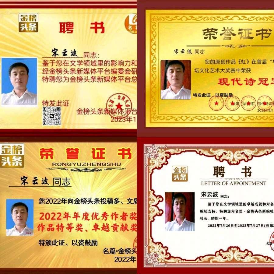 【齐鲁风】分享优秀作家诗人宋云波老师《心爱的人儿》外一首请欣赏（图11）
