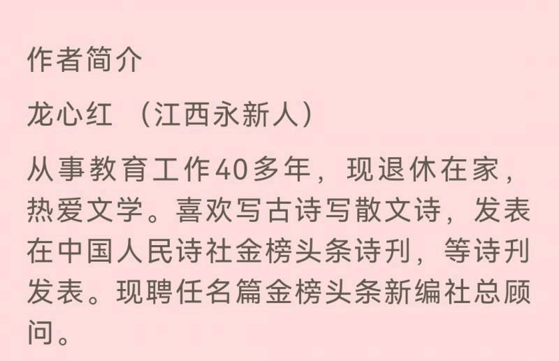 分享优秀诗人龙心红老师《三八妇女节》三首请欣赏（图9）