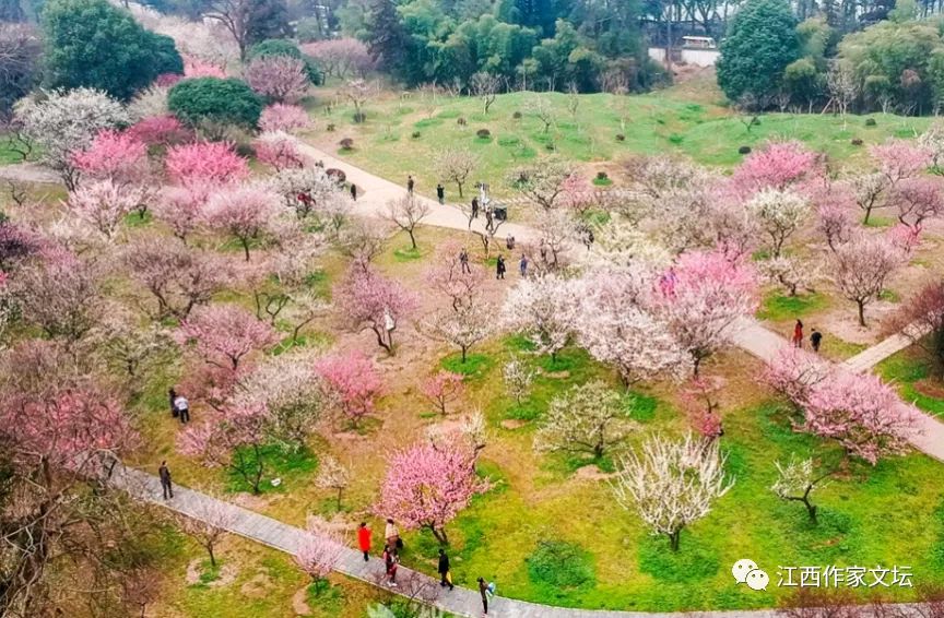 著名诗人王华良专辑【绝律词八首】《七绝 游植物园》《七律 余寒踏春》等(图3)