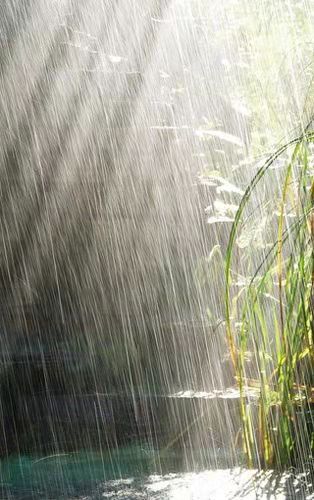 《五绝 雨与诗》作者：张德先（江苏）（图2）