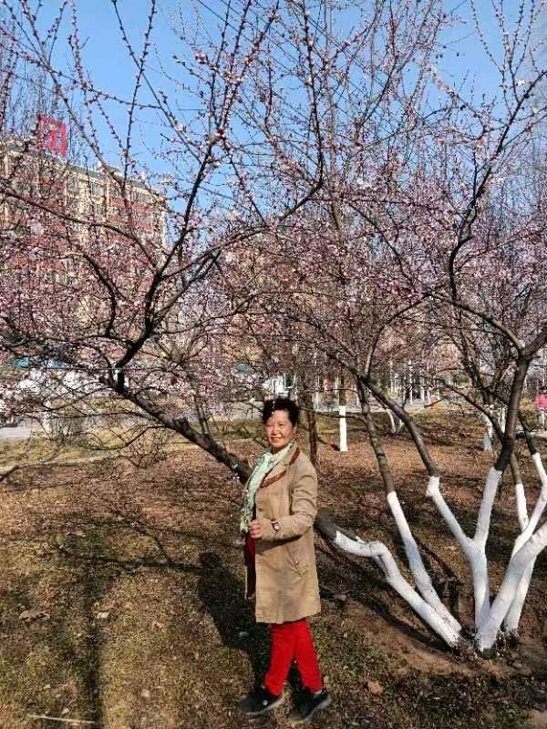 精美藏头诗欣赏之六十九作者:白莲/腊梅【雅诗总会】（图15）