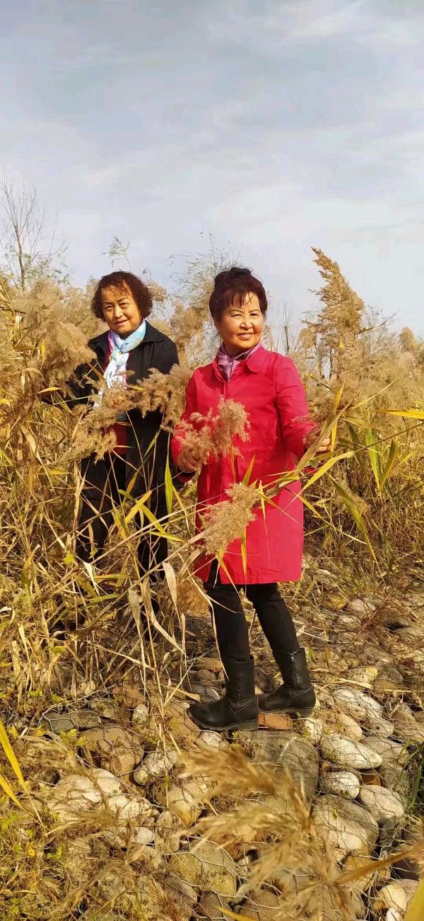 精美藏头诗欣赏之六十九作者:白莲/腊梅【雅诗总会】（图21）