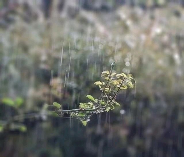 【国风湖南第32期】听雨（图5）