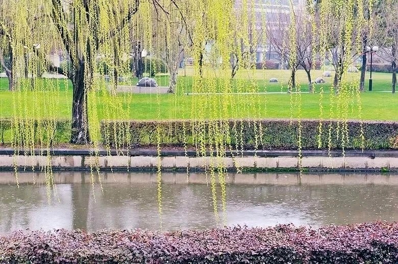 【国风湖南第32期】听雨(图6)