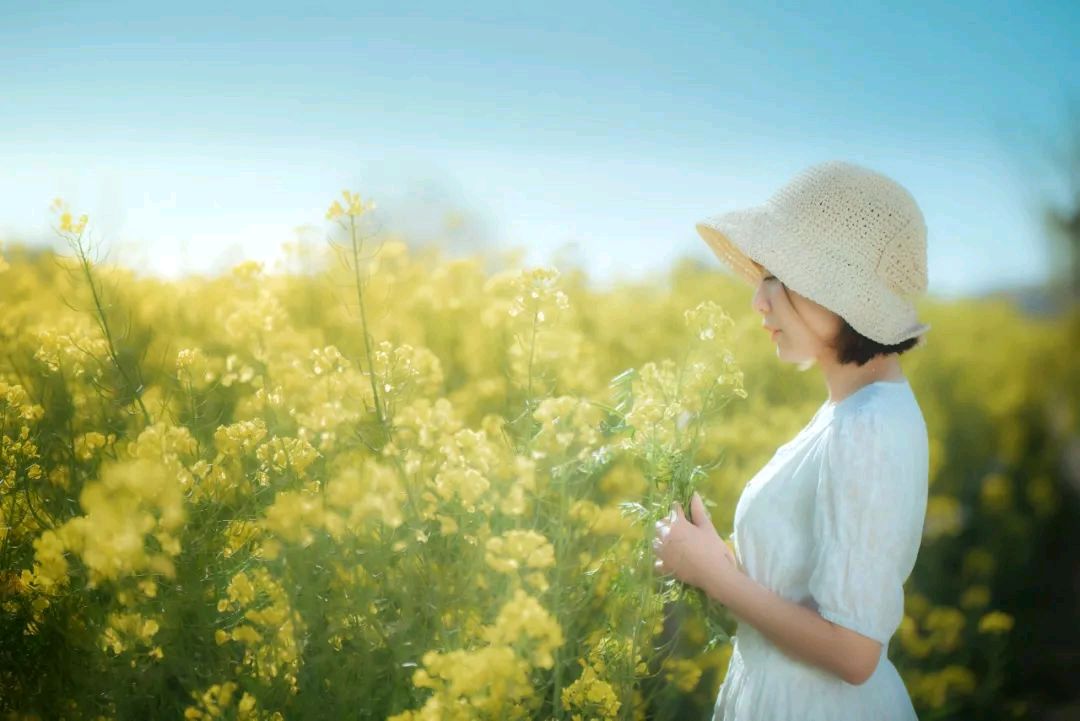 【齐鲁风】分享 齐鲁霓虹老师《油菜花》十首请欣赏（图7）