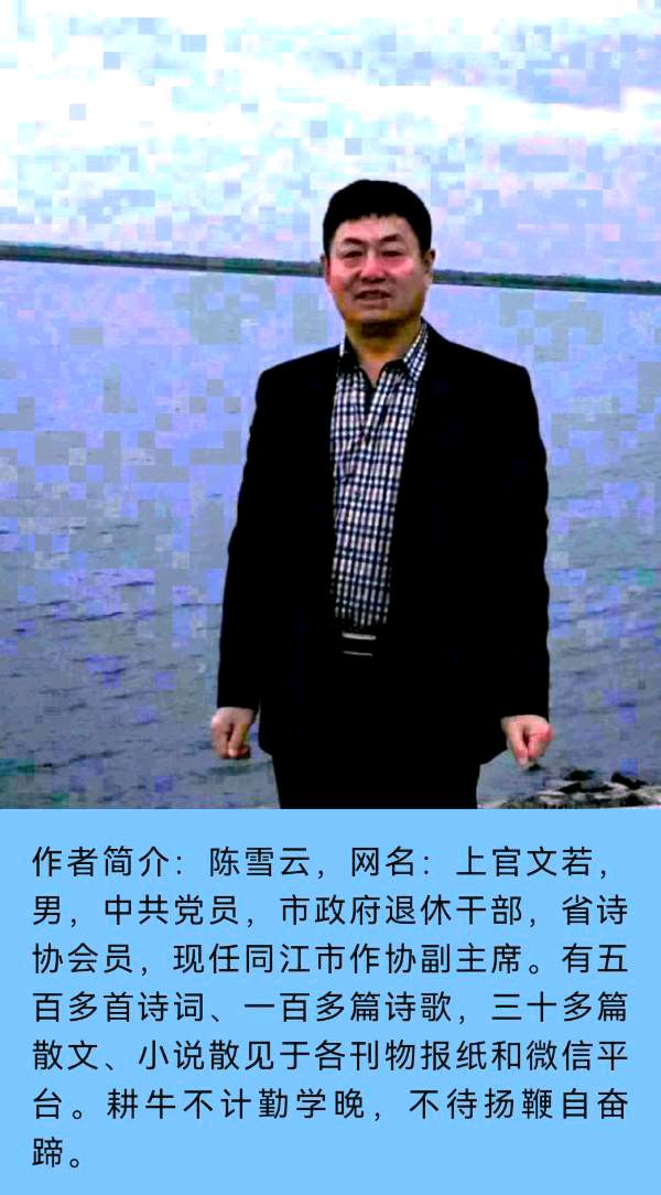 【齐鲁风】分享（黑龙江）优秀作家诗人陈雪云老师《五律•难得糊涂》请欣赏（图7）