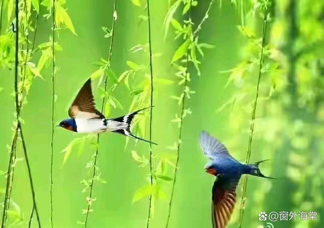 【齐鲁风】分享（甘肃省）何全兴老师组诗请欣赏（图8）