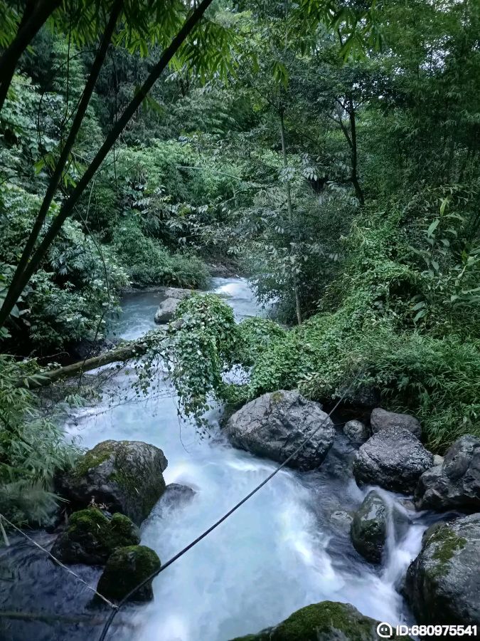 《七律 春风秀东园》作者:吴云钦(图4)
