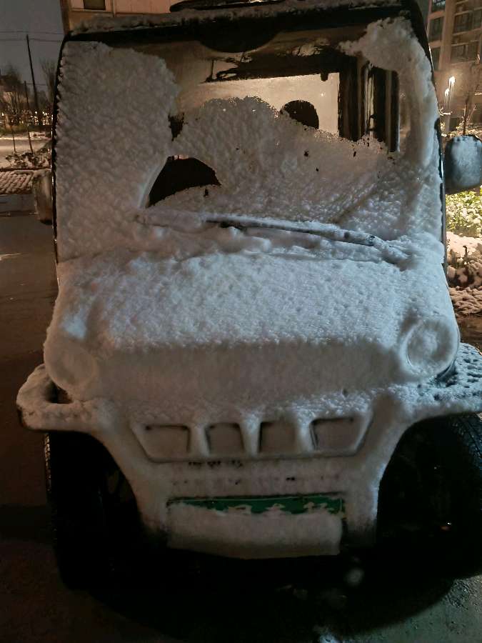 【自由体】《桃花雪》作者：范言斌（图5）