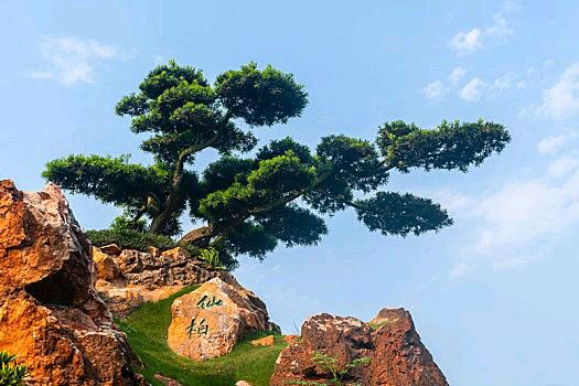 【北京头条】分享优秀诗人刘春耀老师《旅游诗》（一）请欣赏（图4）