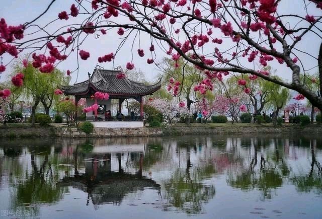 【现代诗】《春暖花开脚莫停》作者：孙有国（湖北）（图2）