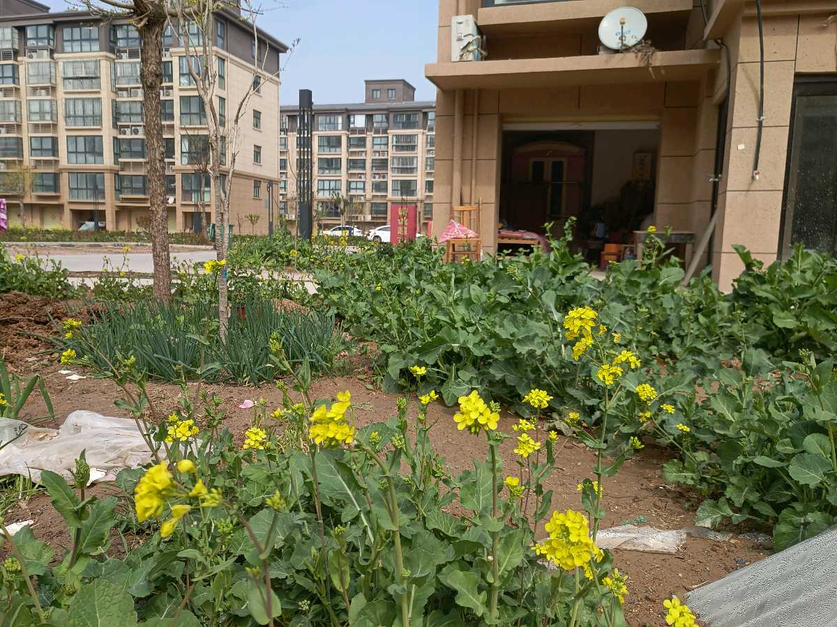 【自由体】《装潇洒》作者：范言斌（图3）