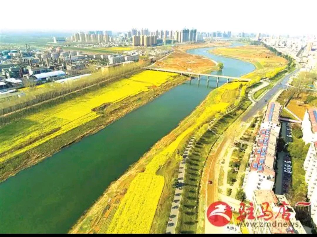 《七律 踏春观油菜花》作者：吴云钦（图5）