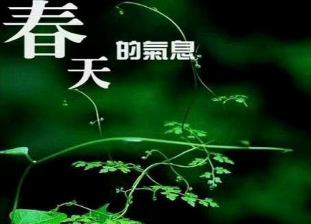 【齐鲁风】分享(内蒙古)优秀诗人马玉珂老师《人生感怀》外四首请欣赏(图8)
