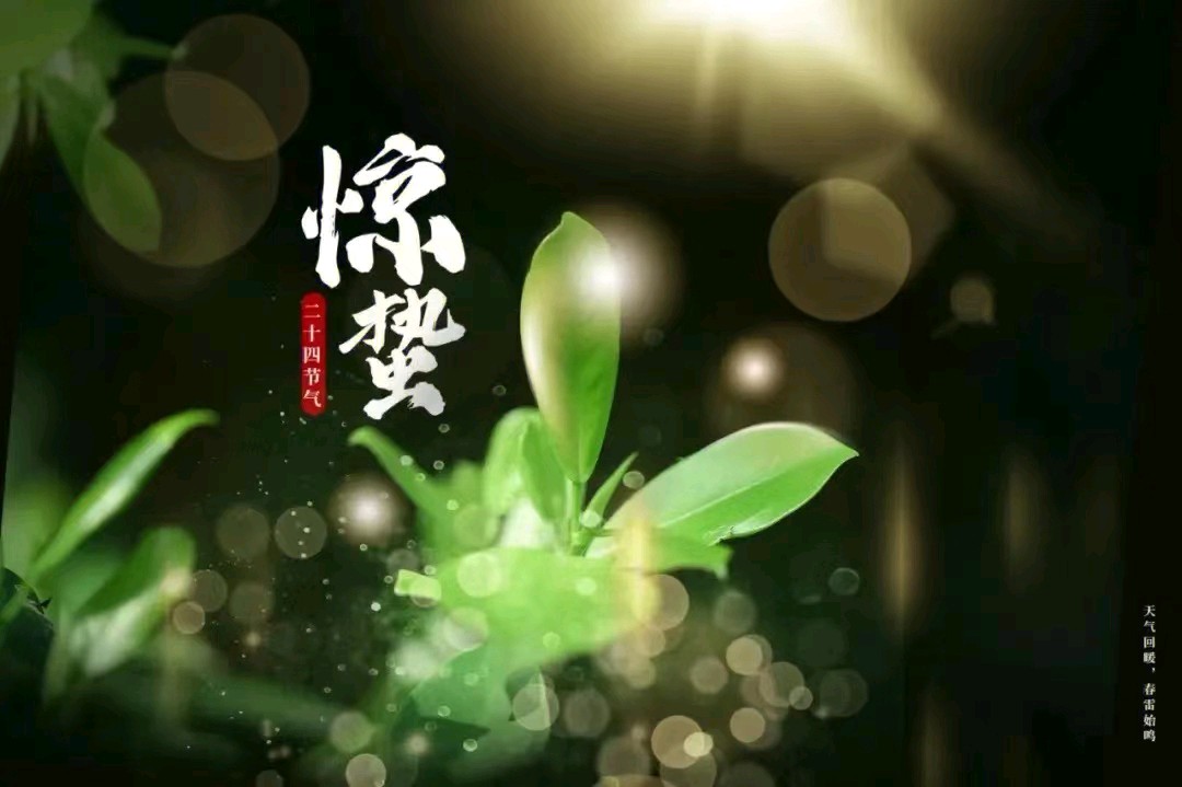 【齐鲁风】分享(内蒙古)优秀诗人马玉珂老师《人生感怀》外四首请欣赏(图7)