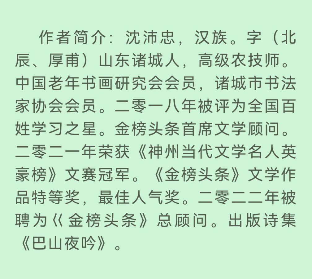 【齐鲁风】分享优秀诗人（厚甫）沈沛忠老师佳作请欣赏（图13）