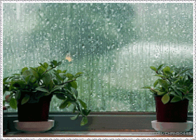 《春雨吟》（二）作者／优秀作家诗人陈天堂老师请欣赏（图5）