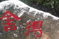 【齐鲁风】分享优秀作家诗人方亮老师《放弃与舍得》请欣赏（图7）