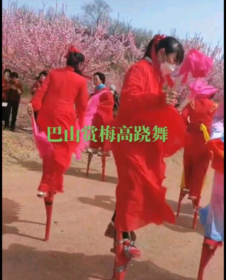 【齐鲁风】分享优秀诗人孙健友《巴山盛开的梅花》请欣赏（图6）