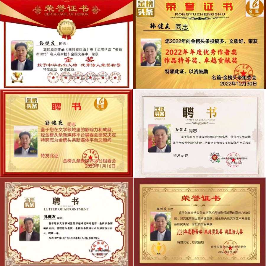 【齐鲁风】分享优秀诗人孙健友《巴山盛开的梅花》请欣赏（图14）