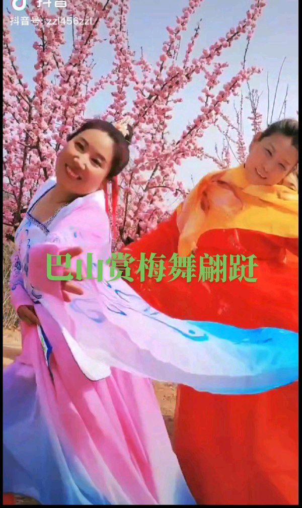 【北京头条】推介（山东）优秀诗人孙健友《巴山盛开的梅花》请欣赏（图6）