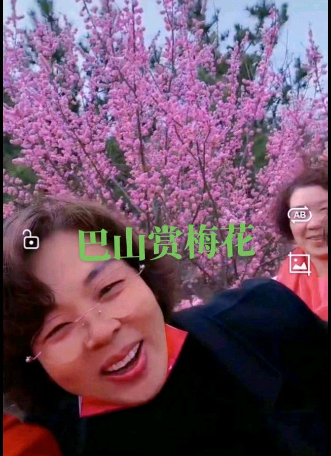 【北京头条】推介（山东）优秀诗人孙健友《巴山盛开的梅花》请欣赏（图9）
