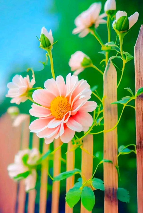 【齐鲁风】分享黄兴民《说清明 话三节》请欣赏(图13)