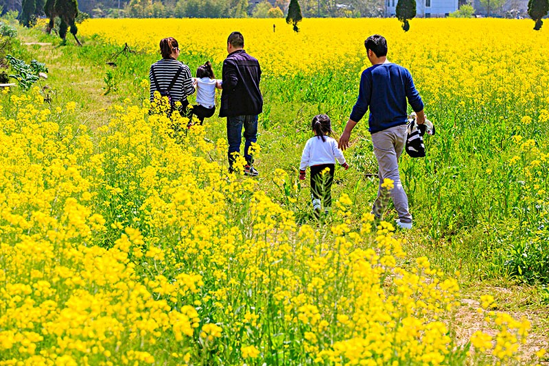 【齐鲁风】分享优秀作家诗人方亮老师《活在爱里不会老》请欣赏（图4）