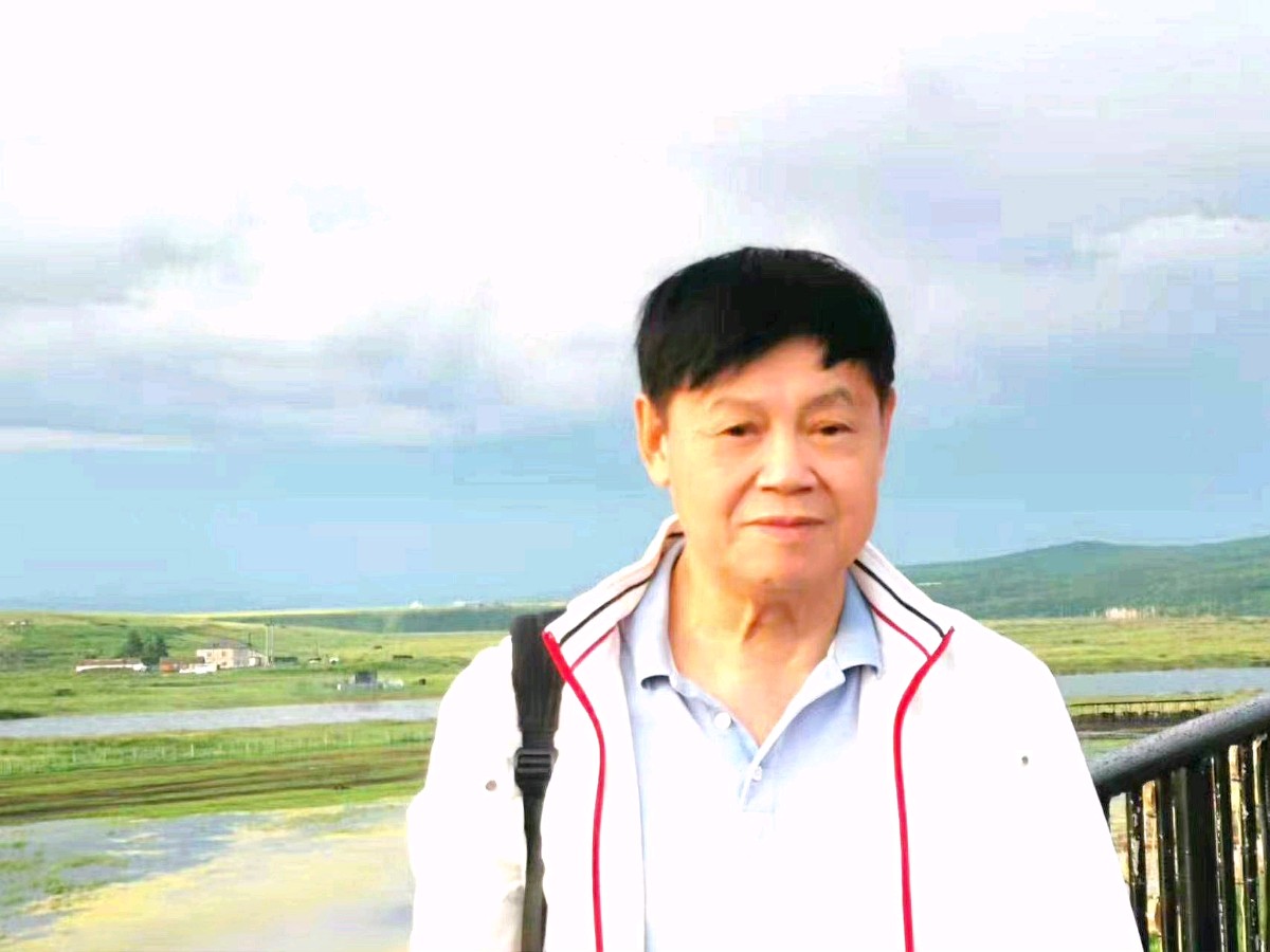 木棉颂 作者:林柏仰(图7)