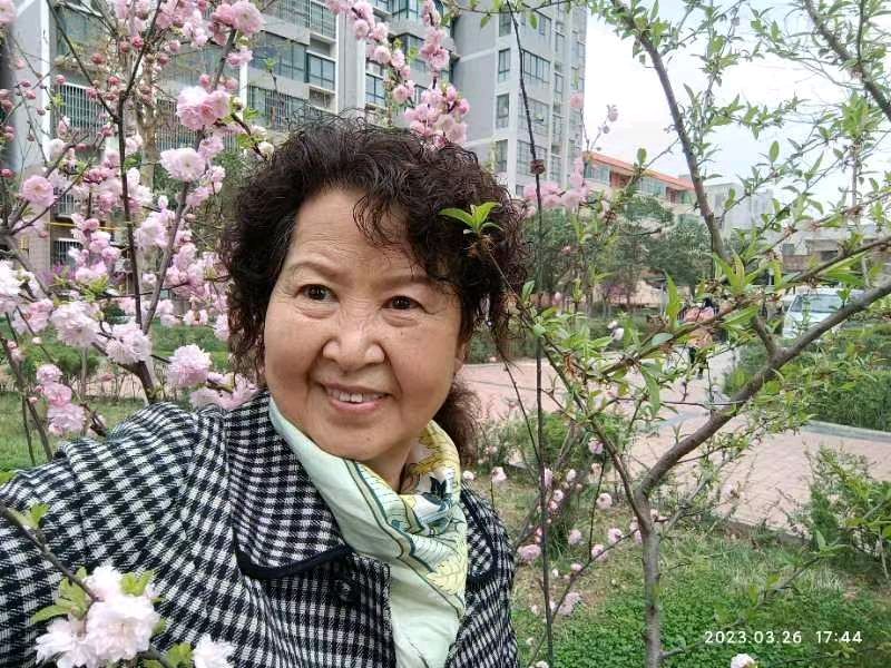 精美藏头诗欣赏之七十一‖作者:白莲/腊梅【雅诗总会】（图13）