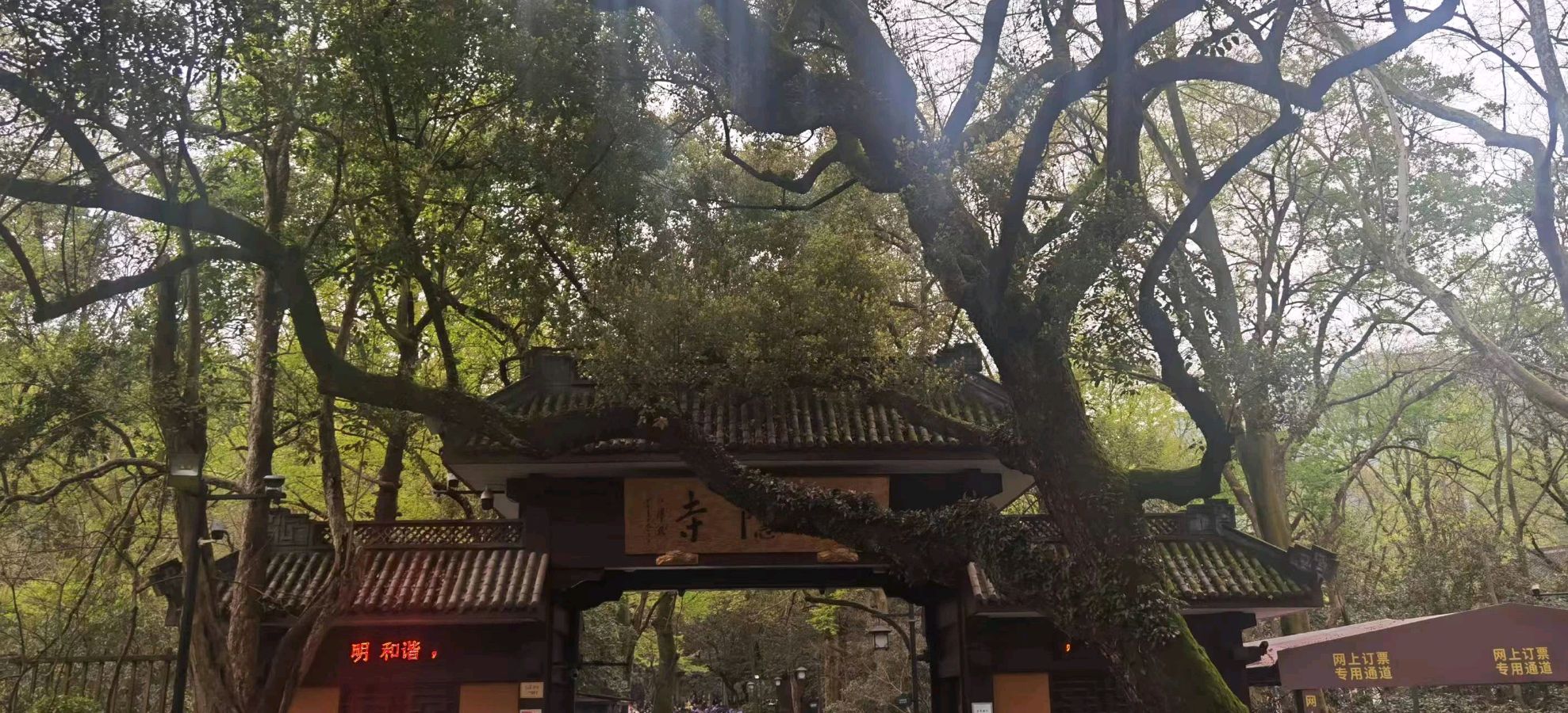 【诗词鉴赏】情醉杭州 文/学堂（图6）