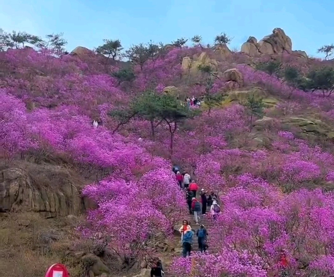 【齐鲁风】分享（山东）优秀诗人（厚甫）沈沛忠老师组诗请欣赏（图6）