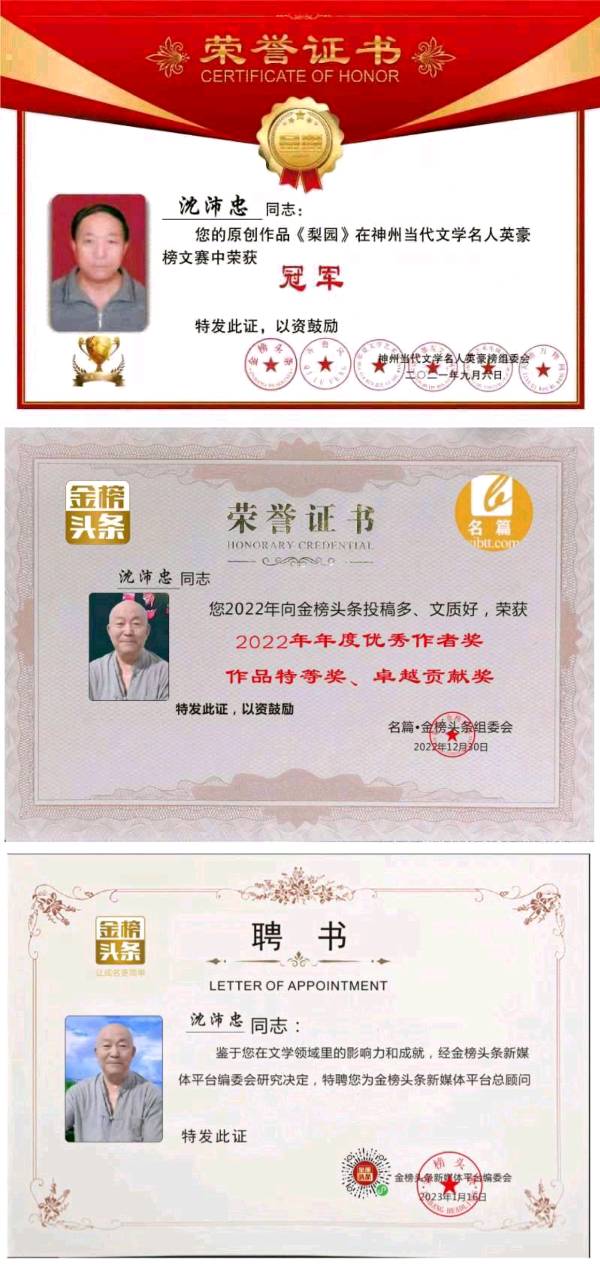 【齐鲁风】分享（山东）优秀诗人（厚甫）沈沛忠老师组诗请欣赏（图13）