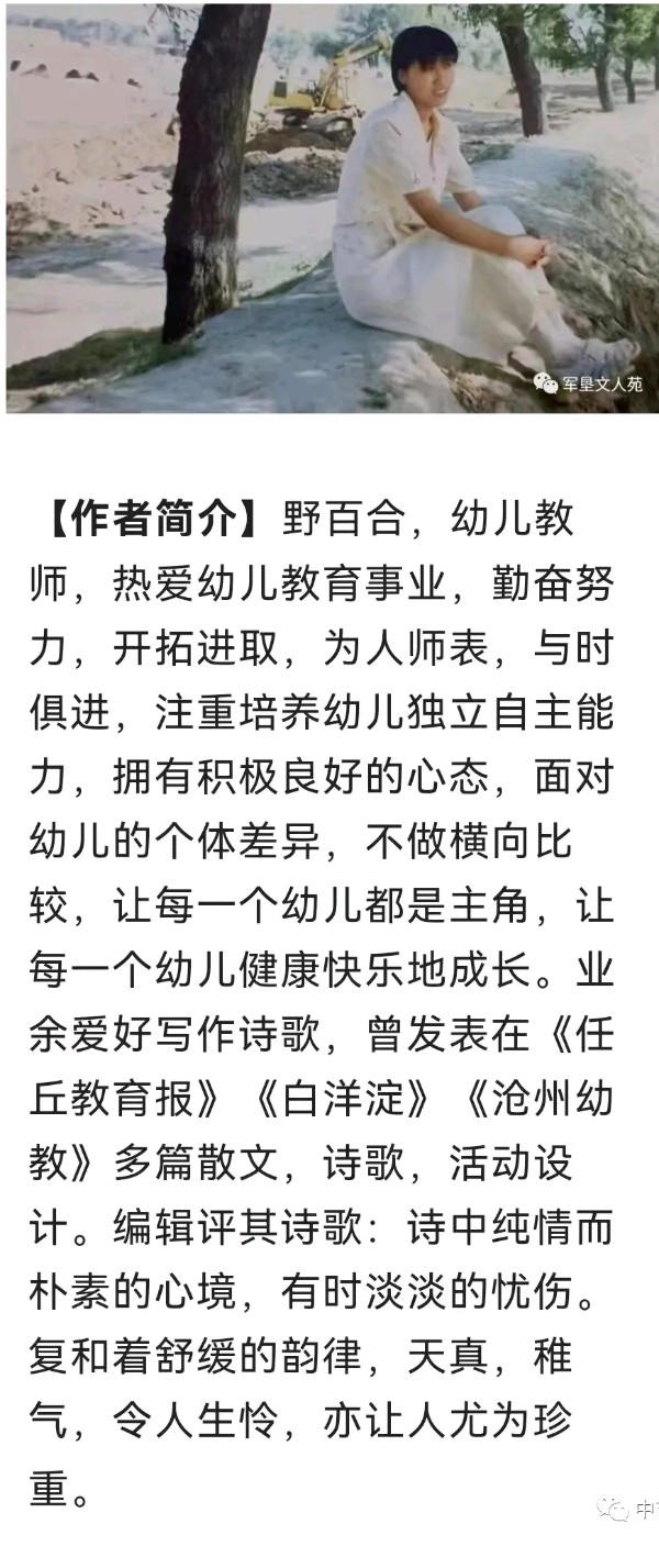 【齐鲁风】分享（河北）优秀诗人野百合老师新体诗两首请欣赏（图7）