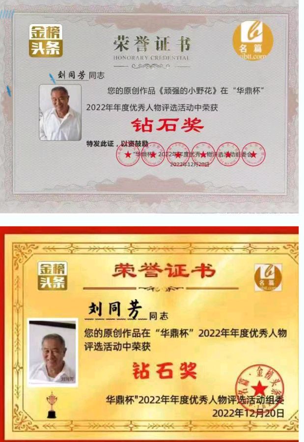 【齐鲁风】分享刘同芳《古风•踏青记》外两首请欣赏（图10）