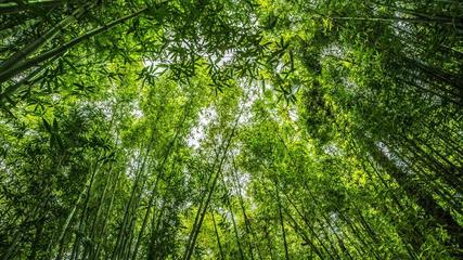 【齐鲁风】分享(湖南)优秀诗人张军荣《七律•春歌》外六首请欣赏(图9)