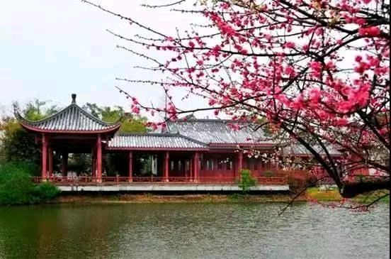 【国风湖南第33期】 已是春深光景明