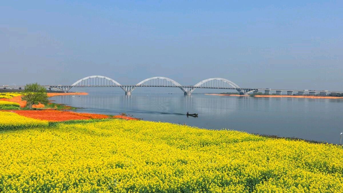 【国风湖南第33期】 已是春深光景明（图4）