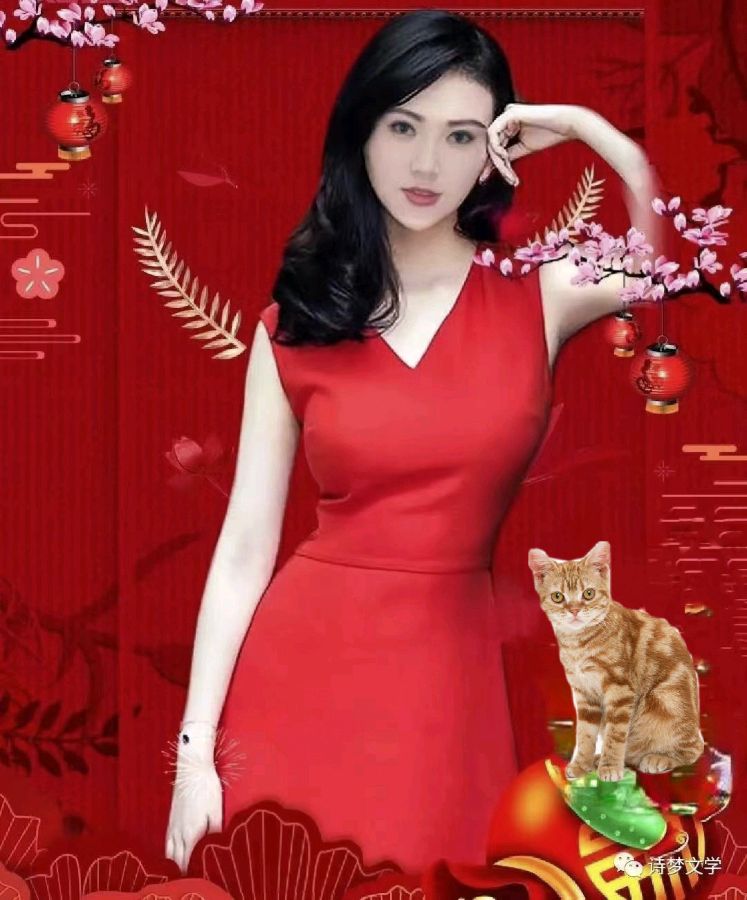 关注慧听☞婉君总编睡诗呢喃【亲啊亲你是猫儿我是鱼】最美醉魂散文欣赏热点联播