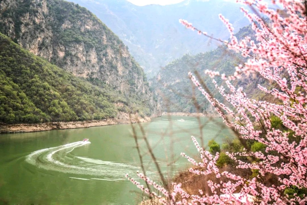 【诗词鉴赏】七律•一览春山/张国山（图3）