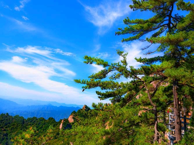 【应邀来楚瀚观山景】作者／胡清普老师请欣赏（图5）